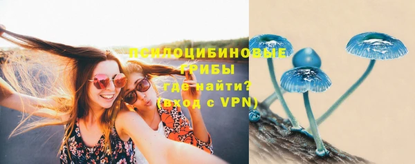 apvp Алексеевка