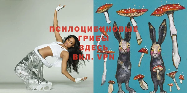 стафф Рославль