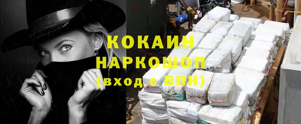 прущий лед Алзамай