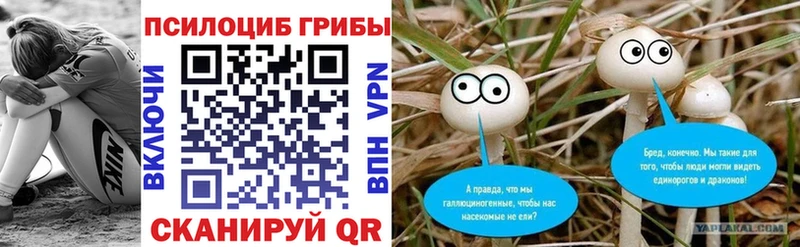 Галлюциногенные грибы мухоморы  наркотики  Котовск 