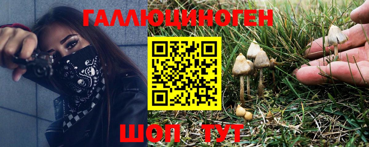 Псилоцибиновые грибы GOLDEN TEACHER  Вход с VPN  наркотики  Котовск 